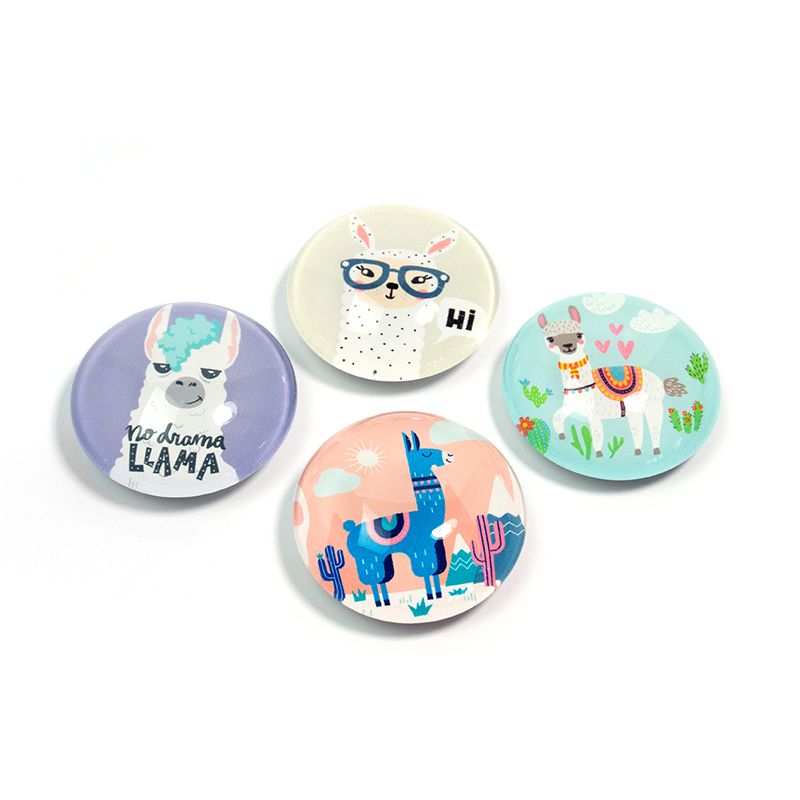 EYE magnets LLAMA set of 4 