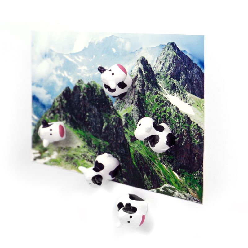 Magnete COW 6er Set  