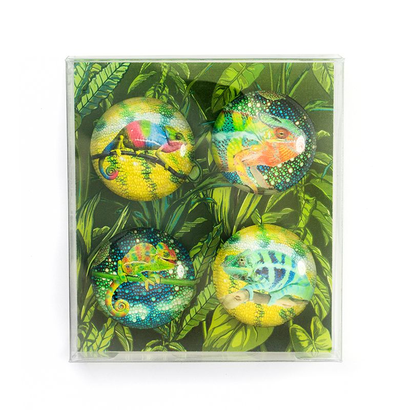 EYE magnets CHAMELEON set of 4 