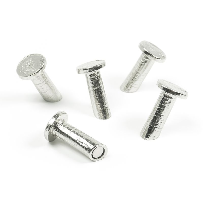 Magnets NAIL set of 5 silver 