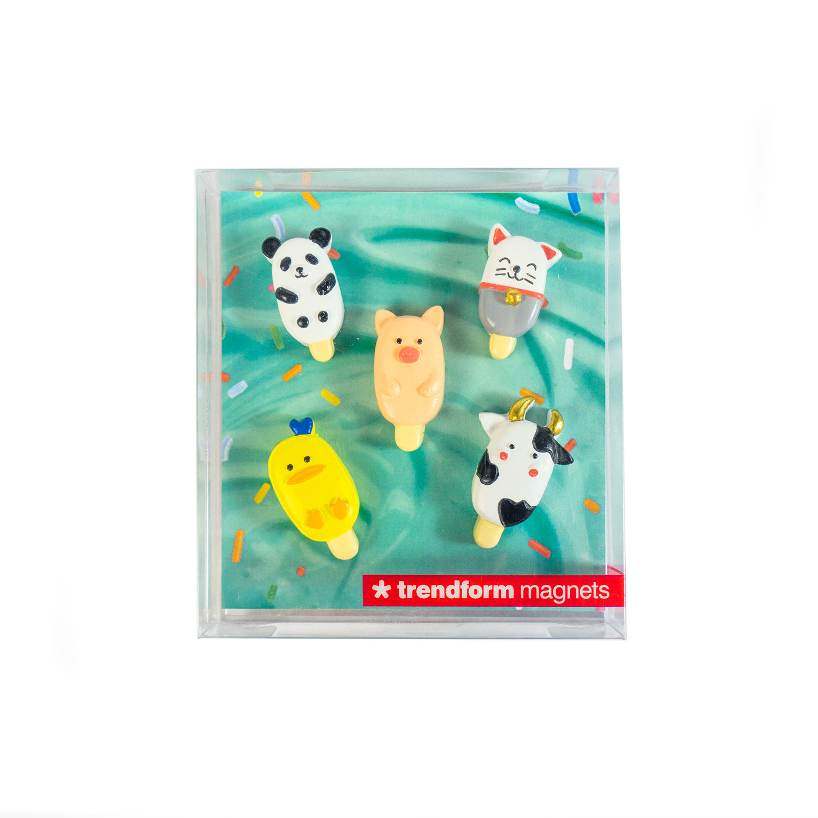 Magnets POPSICLE set of 5 multicolor 