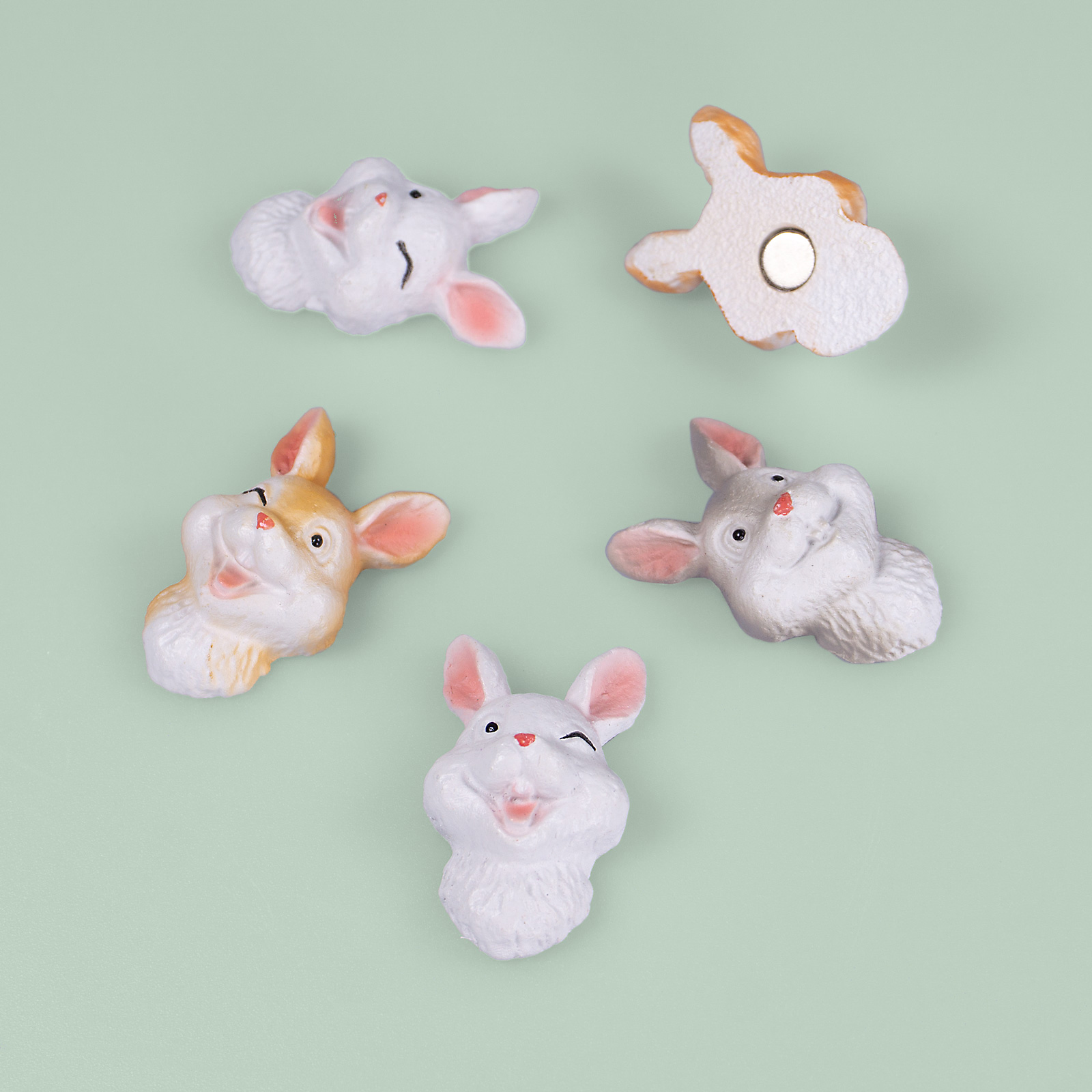 Magnete BUNNY 5er Set multicolor