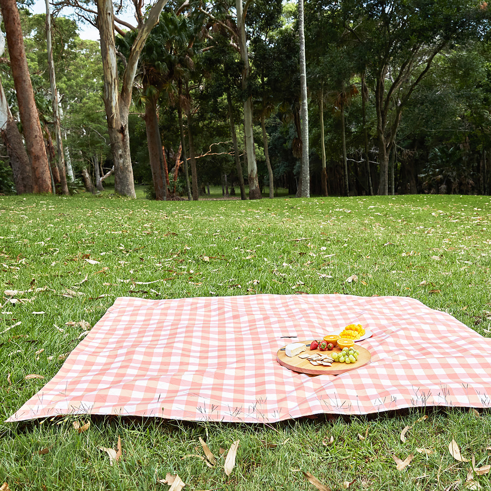 PICNIC BLANKET strawberry small 