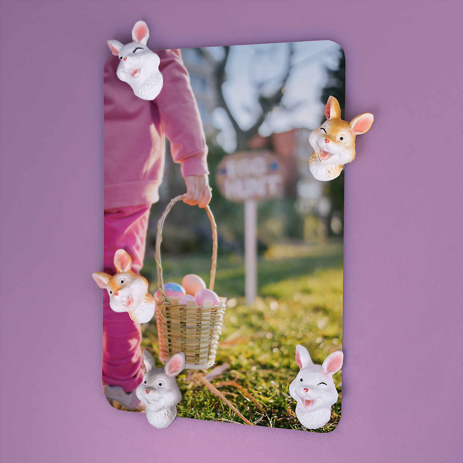 Magnete BUNNY 5er Set multicolor