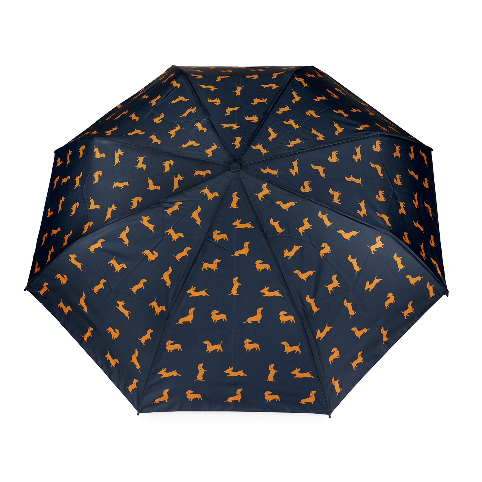 Schirm TECKEL schwarz mit Cover