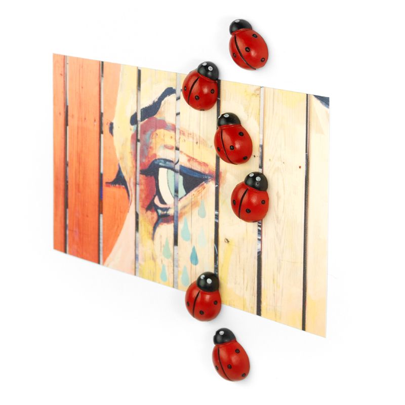 Magnets LADYBUG set of 6 red 