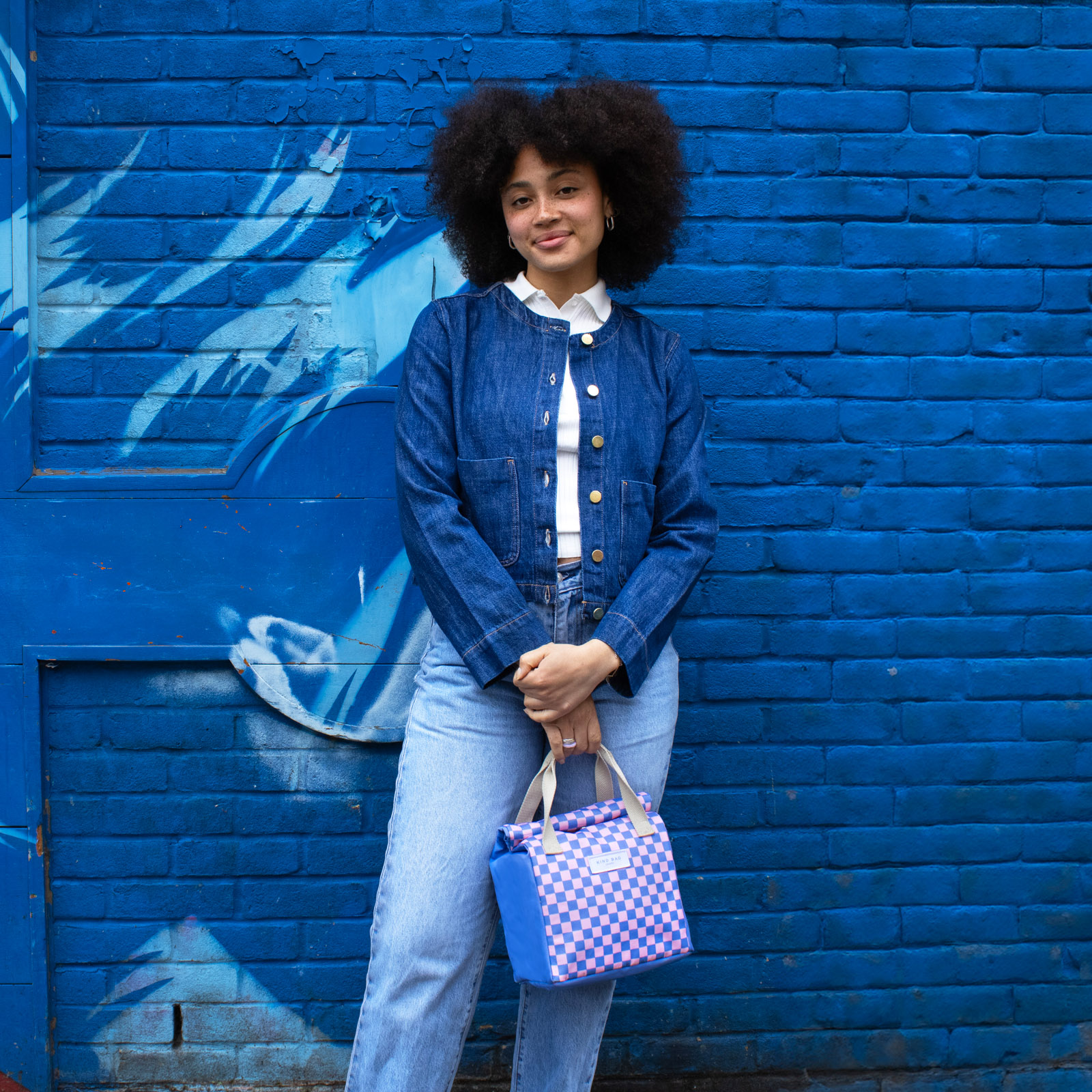 Lunch Bag Checkerboard - Pink + Blue 