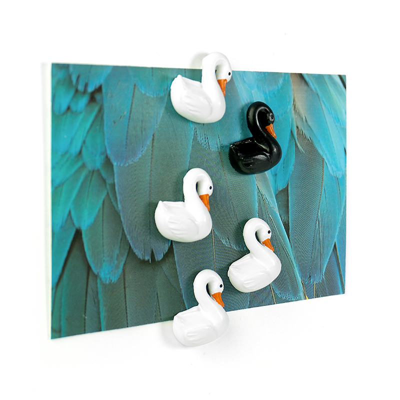 Magnete SWAN 5er Set  