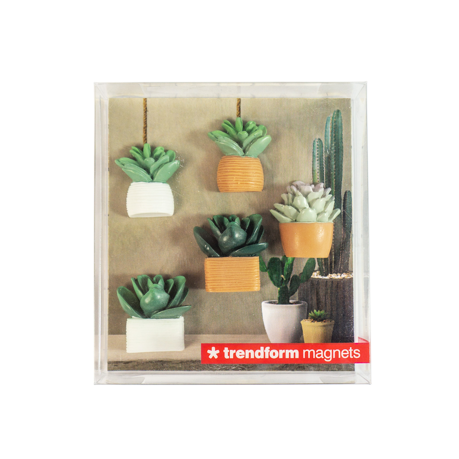 Magnets CACTUS set of 5 multicolor 