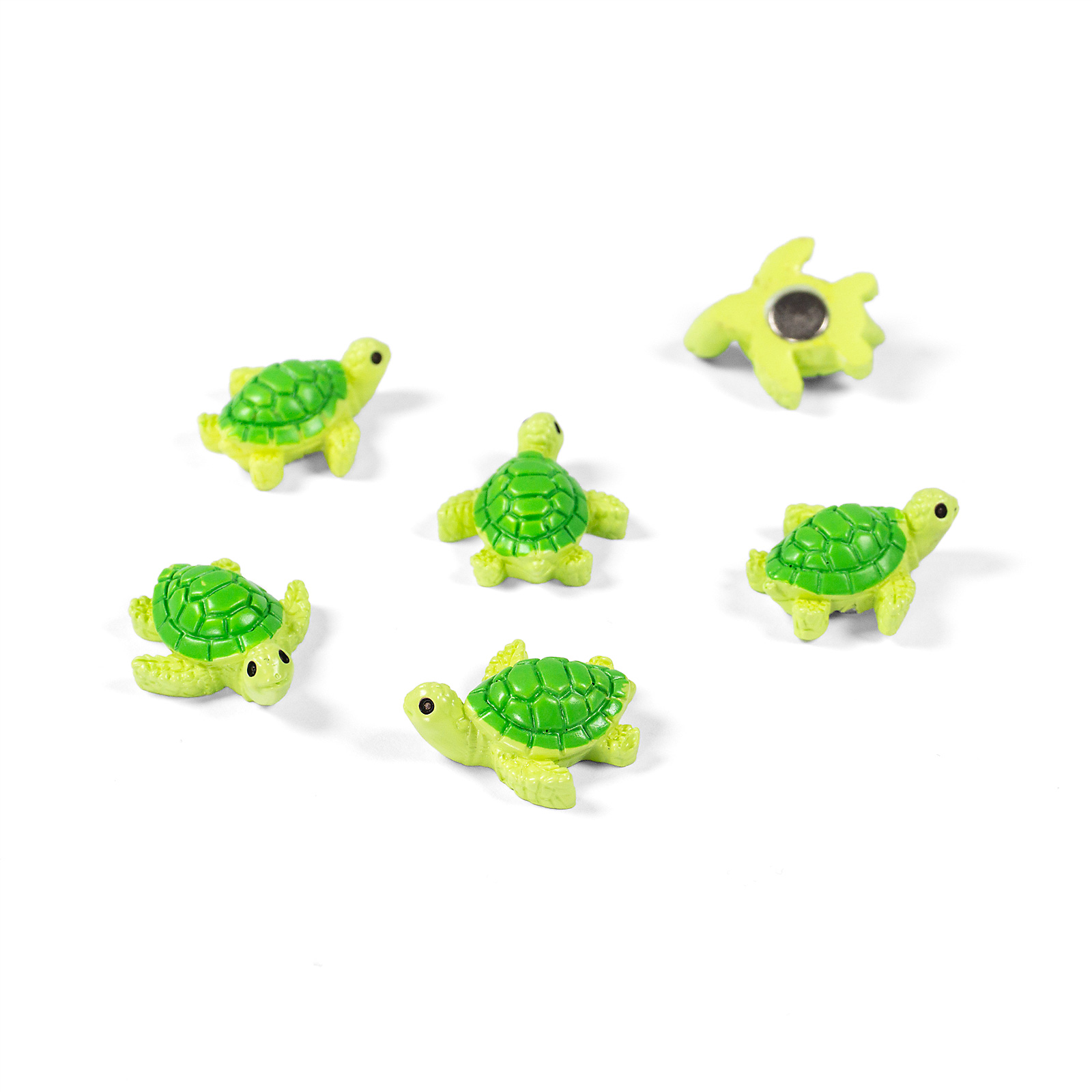 Magnete BABY TURTLE 5er Set grün