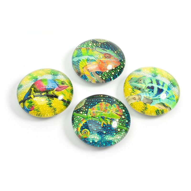 EYE magnets CHAMELEON set of 4 