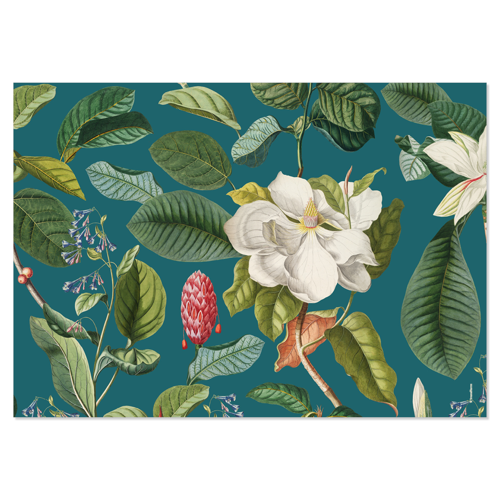 Paper placemat MAGNOLIA 4 x 12 sheets