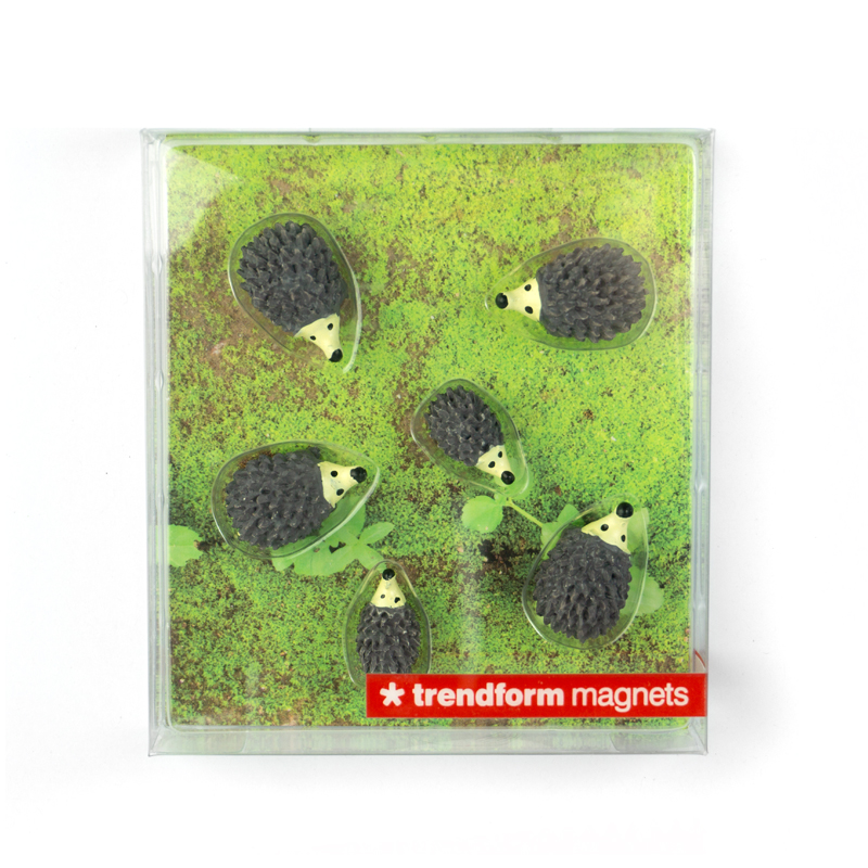 Magnets HEDGEHOG set of 6 assorted 