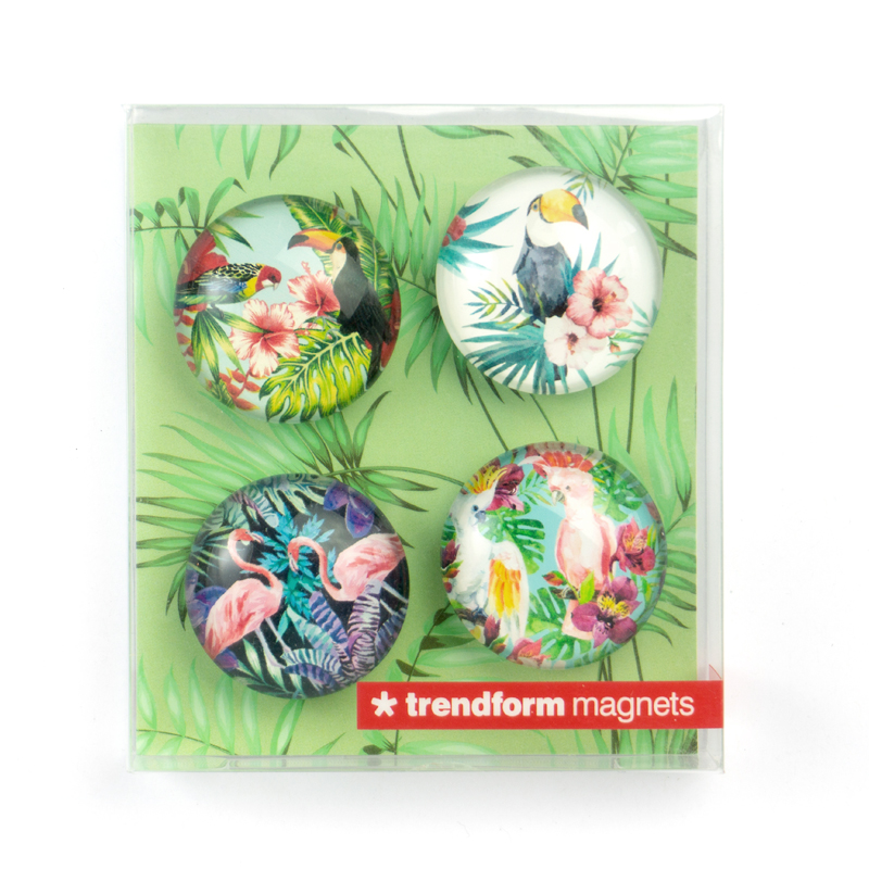 EYE magnets JUNGLE BIRD set of 4 