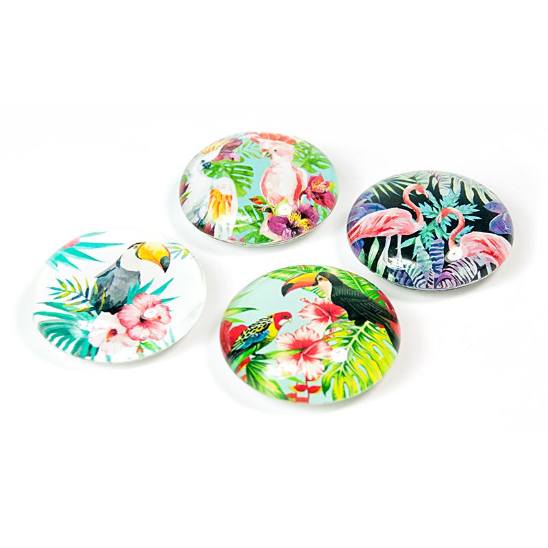 EYE magnets JUNGLE BIRD set of 4 