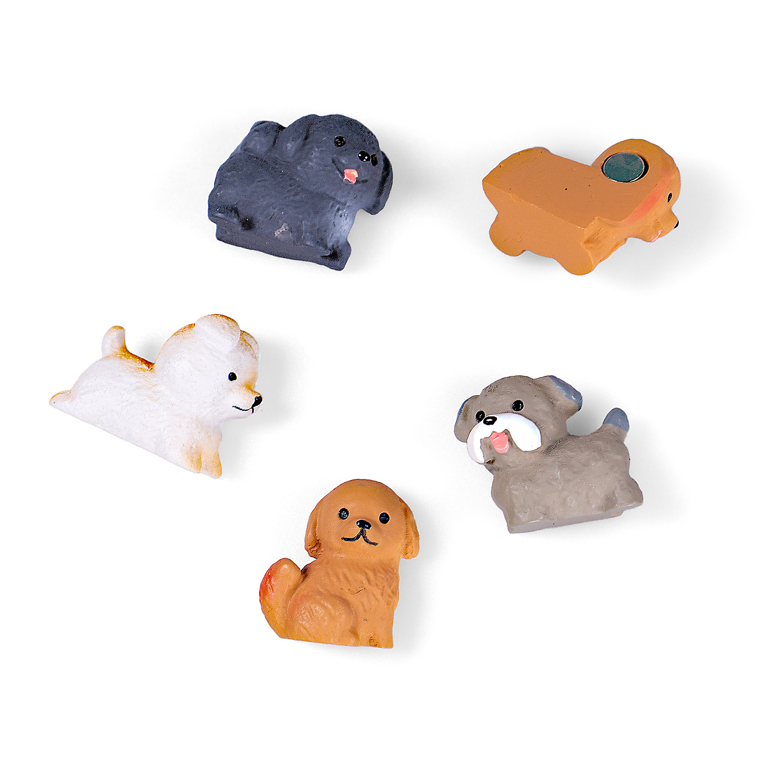 Aimants PUPPY set de 5 multicolore
