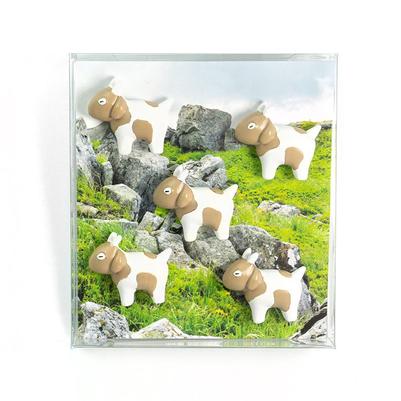 Magnets GOAT set of 5  