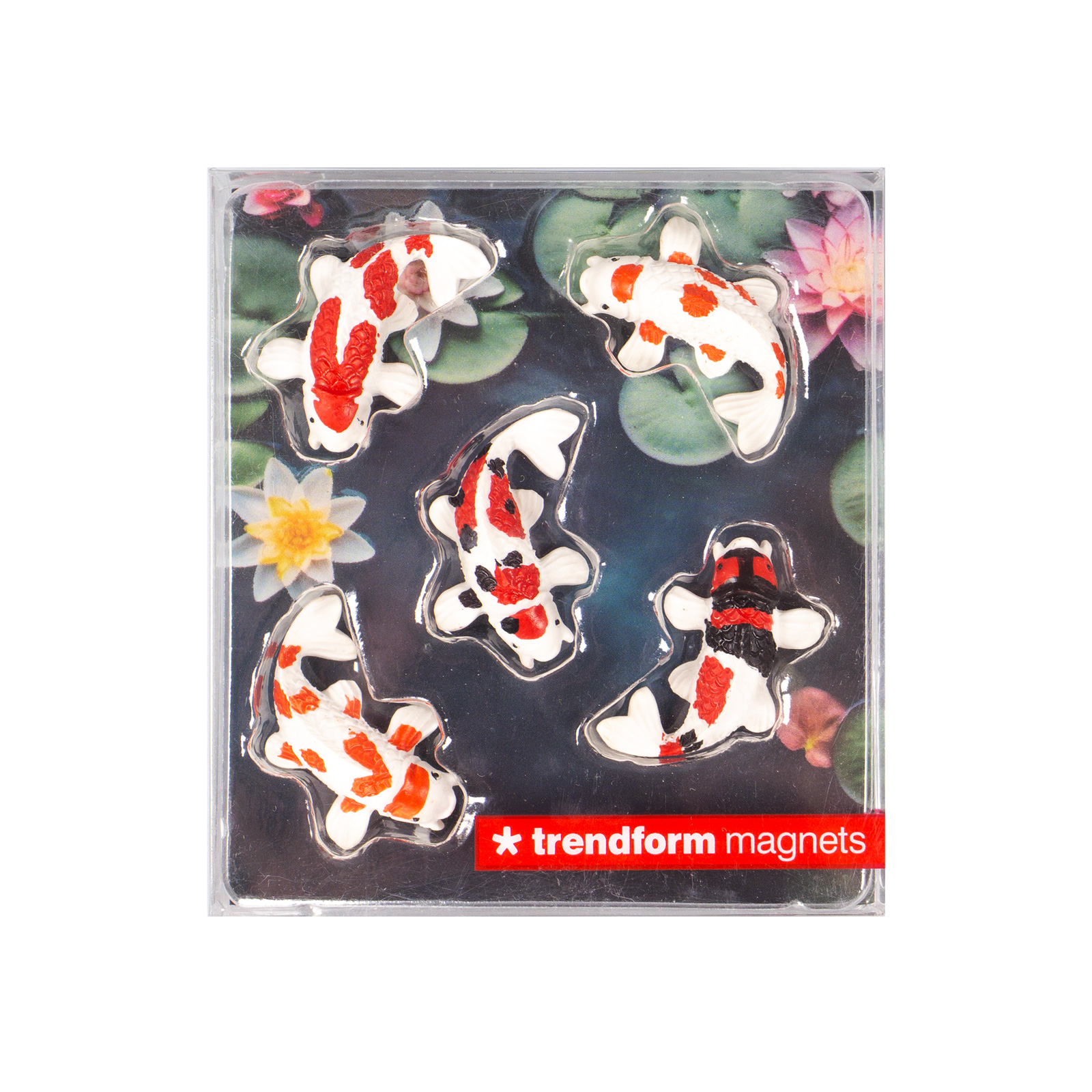 Magnete KOI 5er Set multicolor