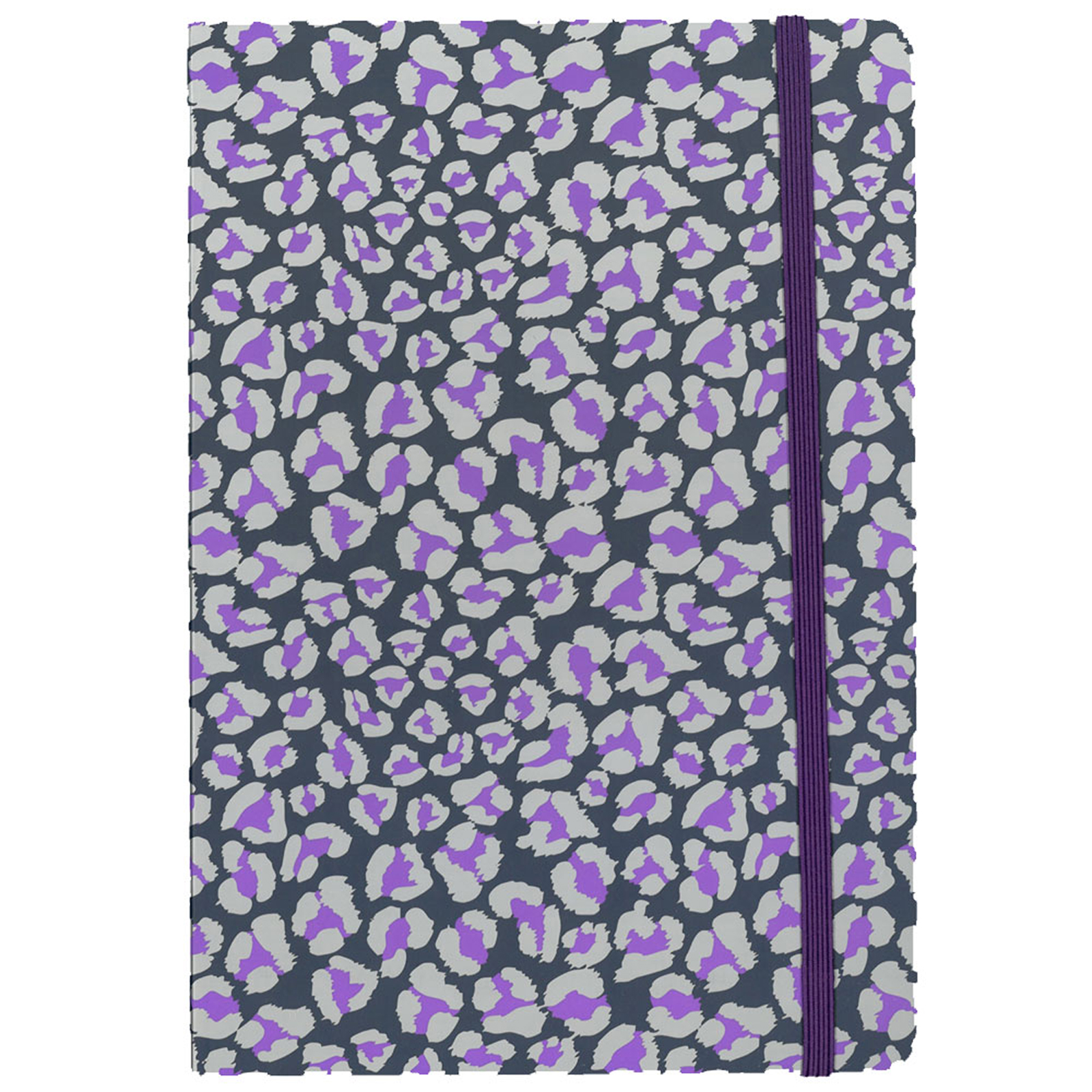 Notizbuch A5 LEO SILBER