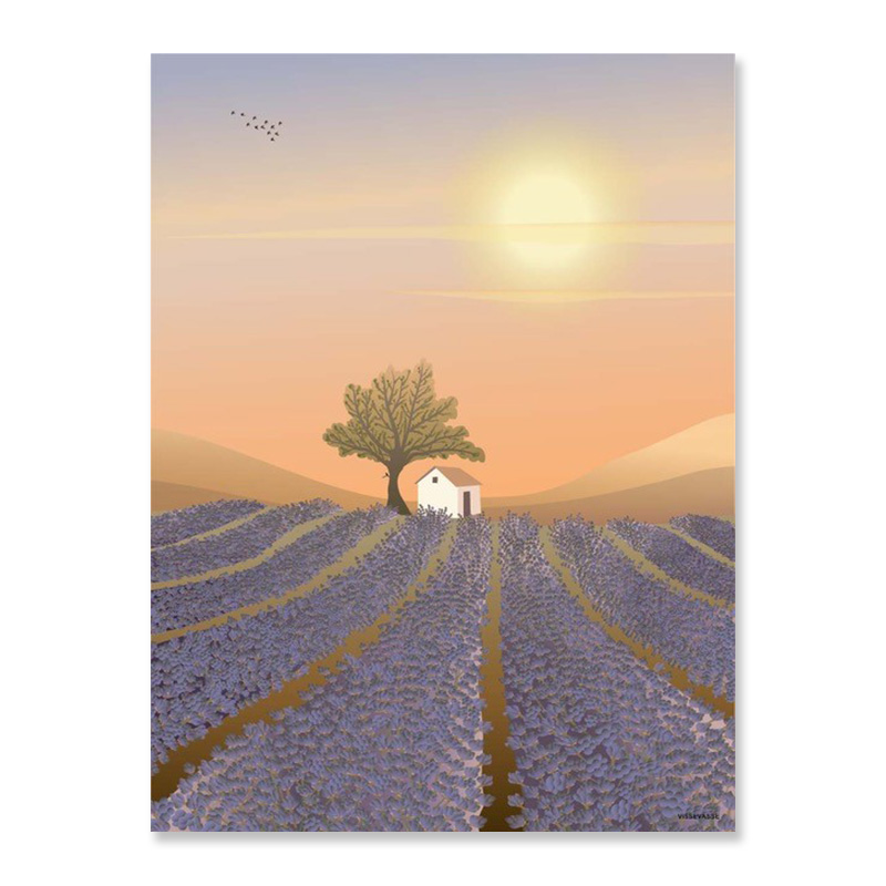 Greeting card Lavender field 