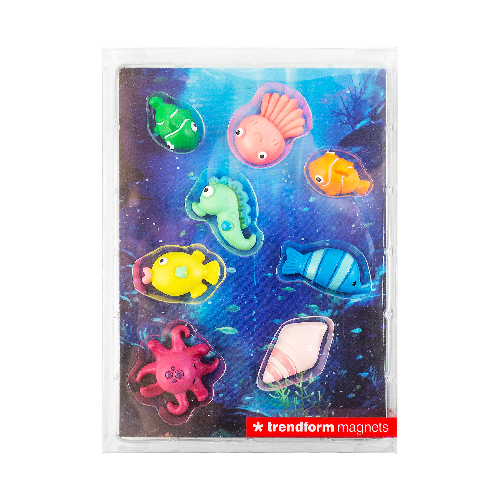 Aimants UNDERWATER set de 8 multicolore 